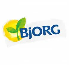 Bjorg