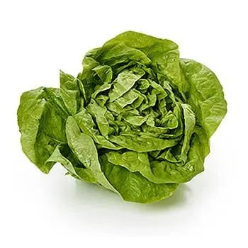 Lettuce (x1) Piece