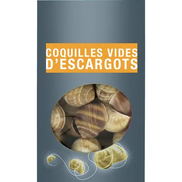 Large Empty Snail Shells (x60)