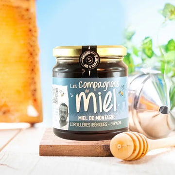 Mountain Honey from Spain 375g