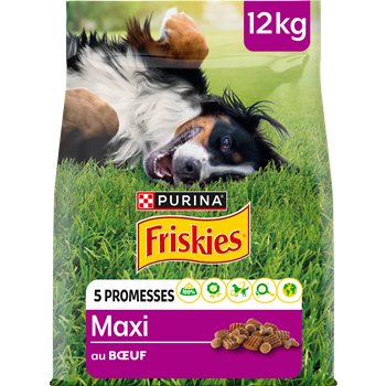 A large bag of Vitafit Friskies Beef Croquettes with a picture of a dog lying on grass in the background. The bag is 12kg and has the brand and product name visible.