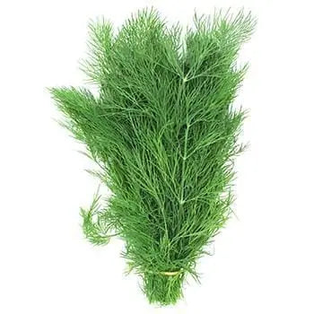 Dill 20g