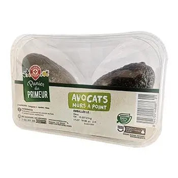 Avocados Primeur Basket (x2)