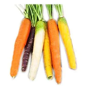 Carrot Tricolore 1kg