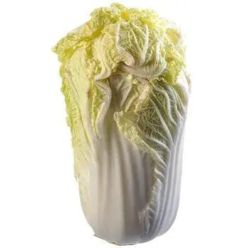 Chinese Cabbage Each