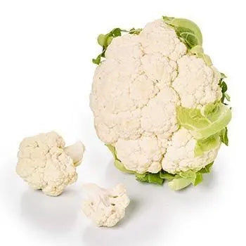 Cabbage Blossom Each