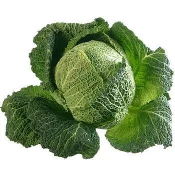 Cabbage Green Each