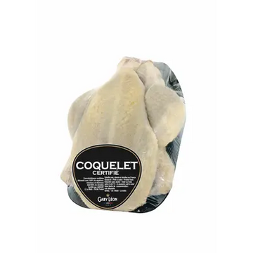 Coquelet ~ 600g