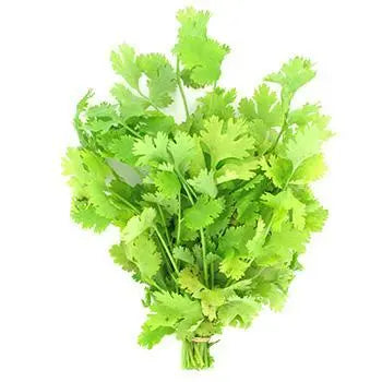 Coriander 20g