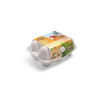 6 Medium Eggs Elev. des Hauts de France Outdoor - - x
