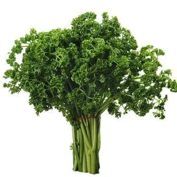 Persil frisé la botte  1 p