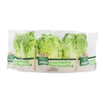 Salade Sucrine (x3)
