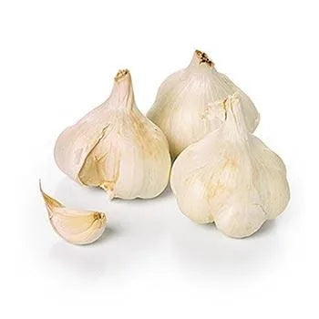 Ail blanc 3 têtes  3x1 p