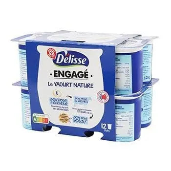 Délisse Plain yoghurt 12x125g