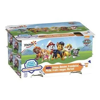 Fromages frais Pat'Patrouille Yoplait goûts fruits - 24x50g