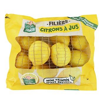 Citron à jus Panier du Primeur 1kg