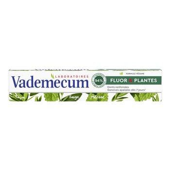 Vademecum Dentifrice Fluor et Plantes 75ml